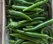 Chilli Peppers